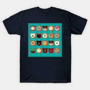 Bear Donut Flavors T-Shirt